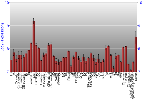 Expression graph