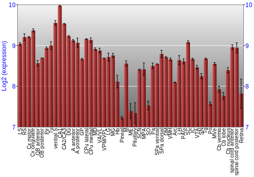 Expression graph