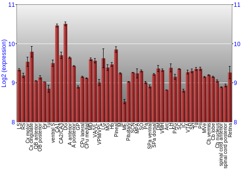 Expression graph