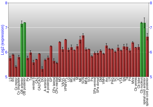 Multi-state expression graph