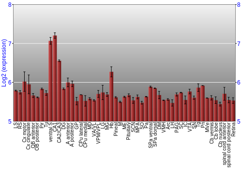 Expression graph