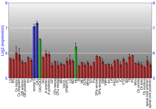 Multi-state expression graph