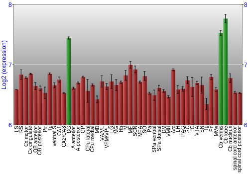 Multi-state expression graph