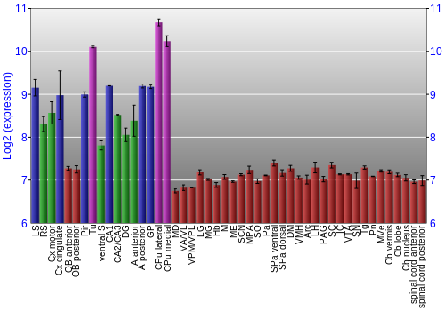 Multi-state expression graph