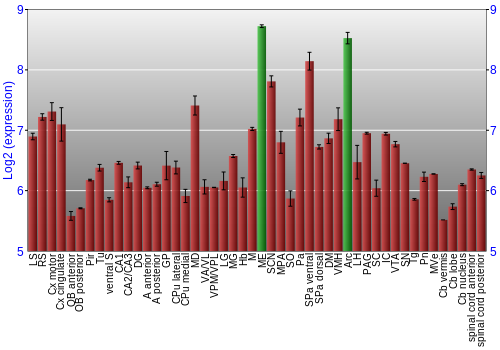 Multi-state expression graph