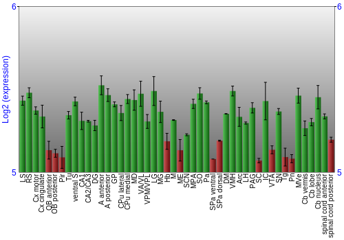 Multi-state expression graph