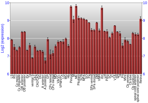 Expression graph