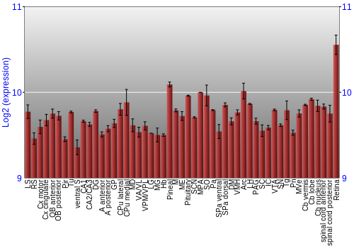 Expression graph