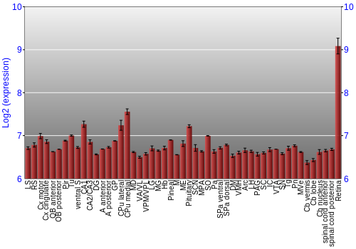 Expression graph