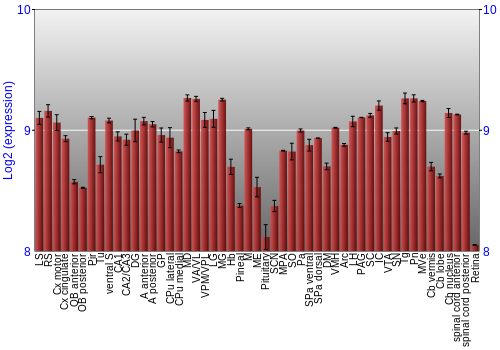 Expression graph