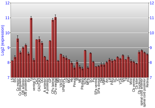 Expression graph