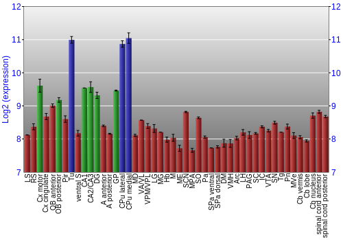 Multi-state expression graph