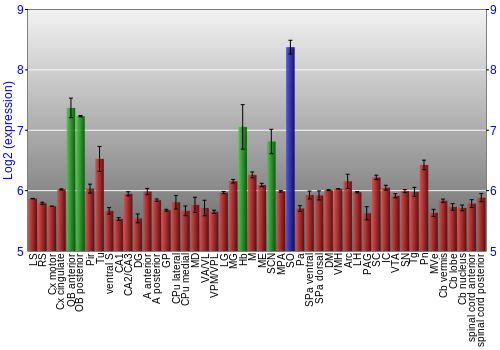 Multi-state expression graph