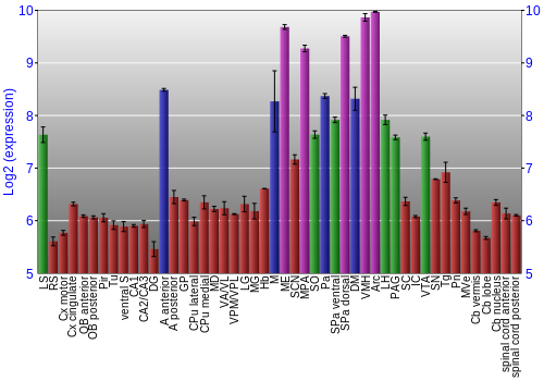 Multi-state expression graph