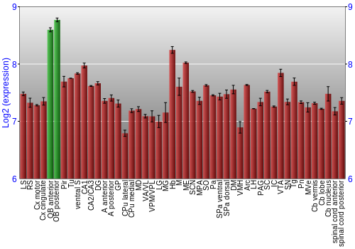 Multi-state expression graph