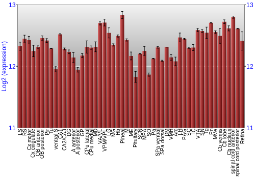 Expression graph