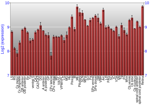 Expression graph