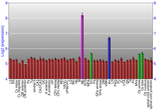 Multi-state expression graph