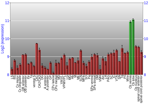 Multi-state expression graph