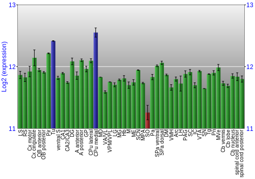 Multi-state expression graph