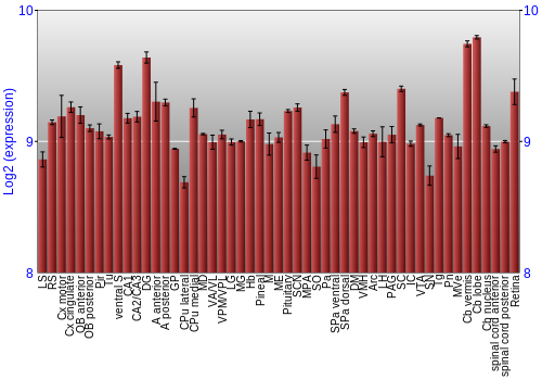 Expression graph