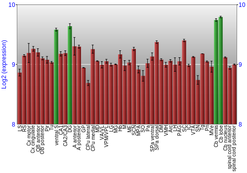 Multi-state expression graph