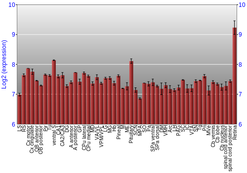 Expression graph
