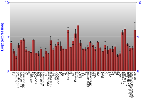 Expression graph