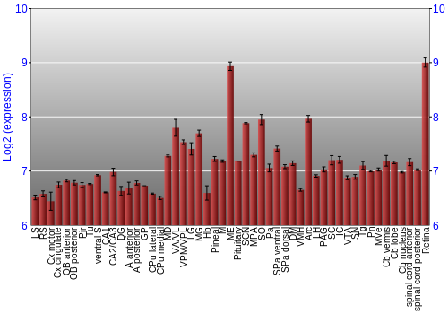 Expression graph