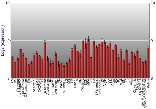 Expression graph