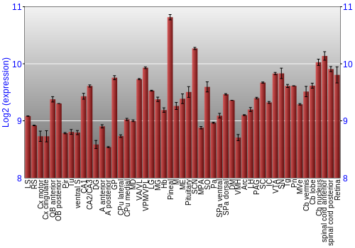 Expression graph