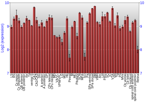Expression graph