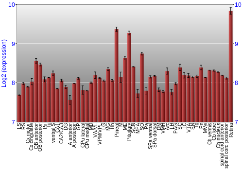 Expression graph