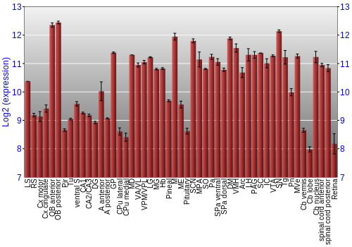 Expression graph