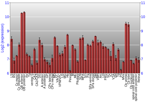 Expression graph