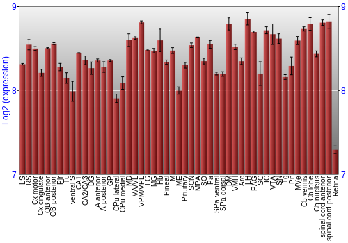Expression graph
