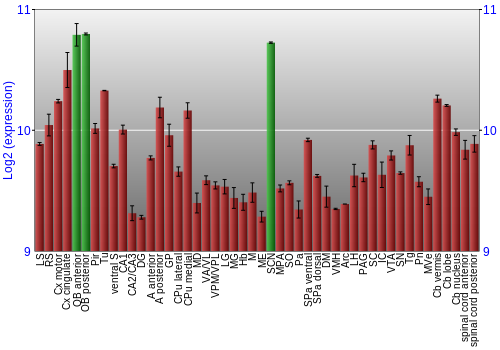Multi-state expression graph