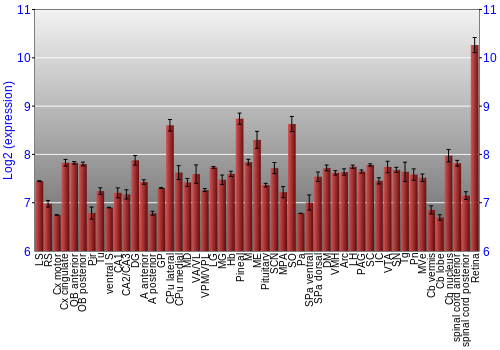 Expression graph
