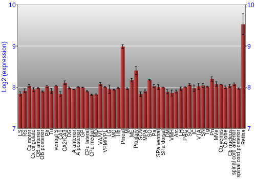 Expression graph