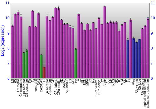 Multi-state expression graph