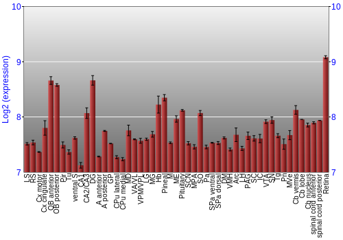 Expression graph