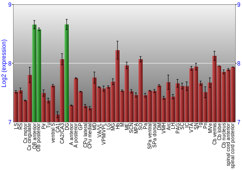 Multi-state expression graph
