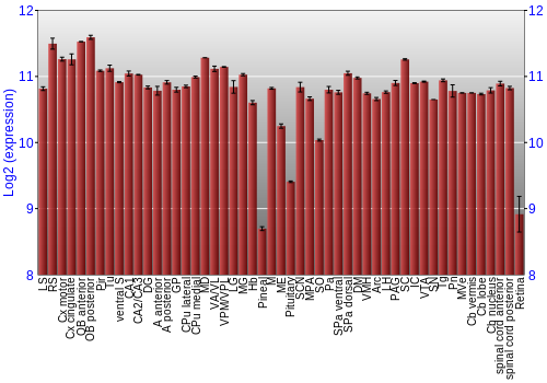 Expression graph