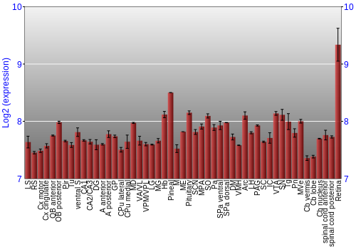Expression graph