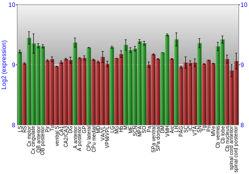 Multi-state expression graph