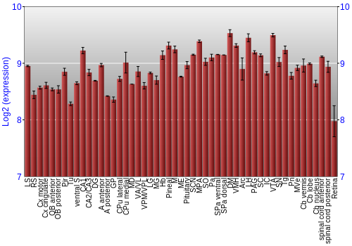 Expression graph