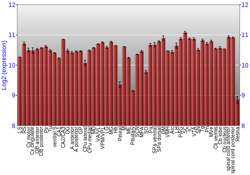 Expression graph