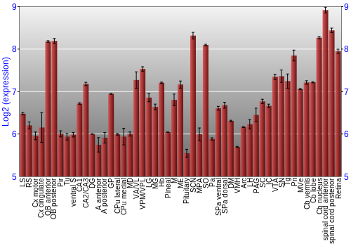 Expression graph