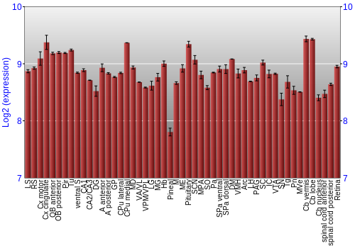 Expression graph