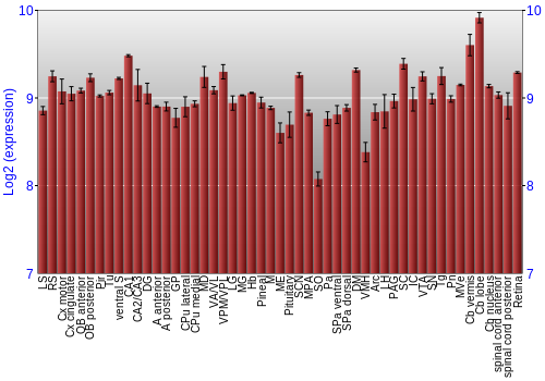 Expression graph
